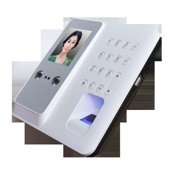 Fingerprint Recognition